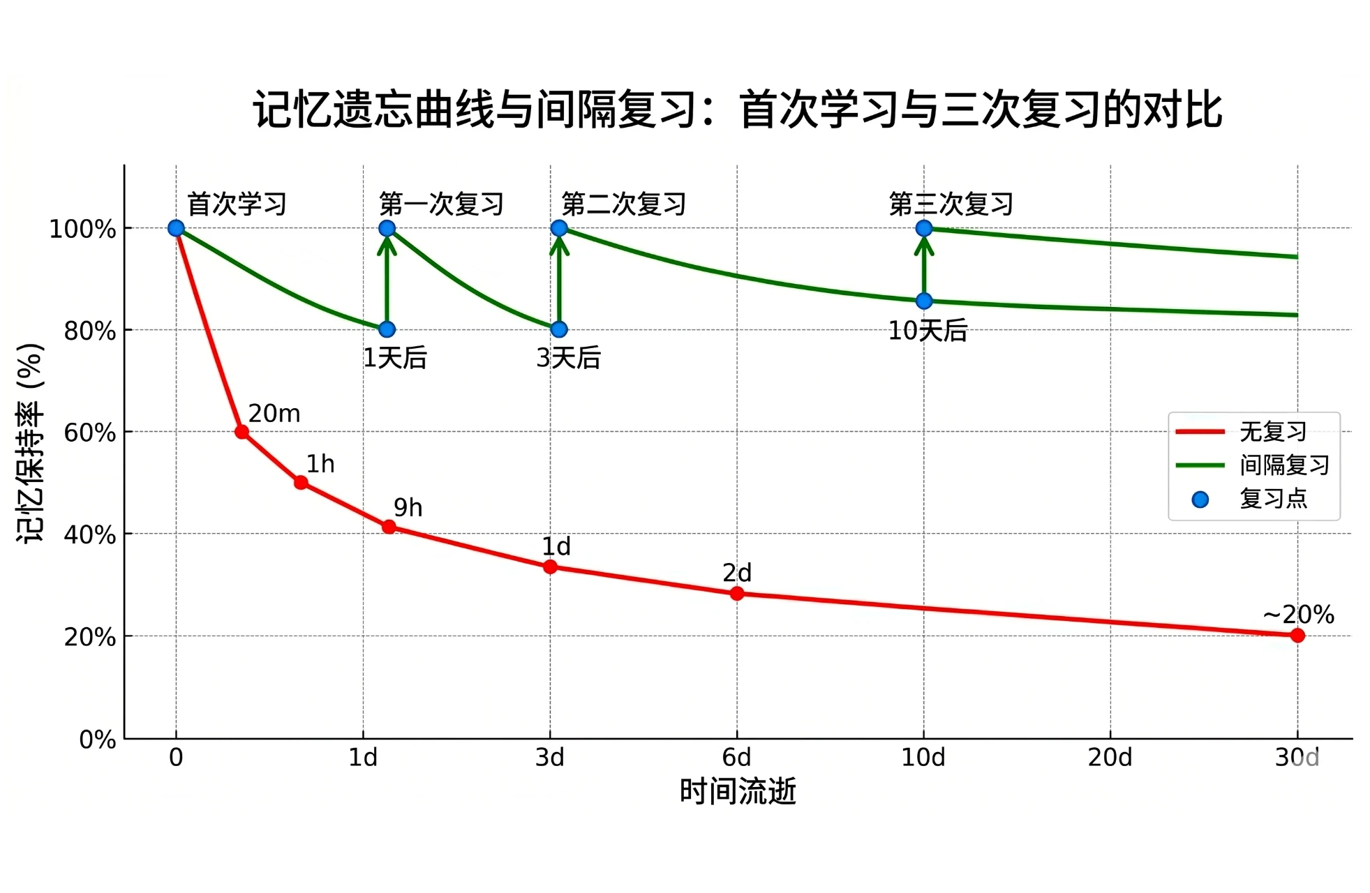记忆遗忘曲线与间隔复习示意图